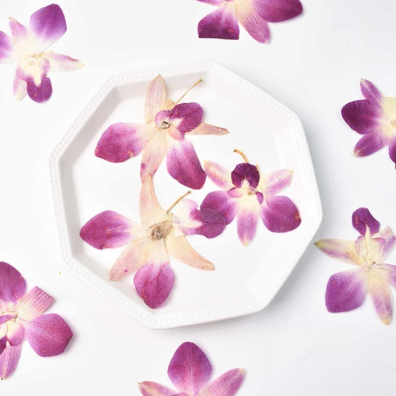 Art Craft Butterfly - 4 ชิ้น, ดอกกล้วยไม้ผีเสื้อแท้แบบกดอัด, งานศิลปะเรซิ่น DIY, สมุดภาพ,