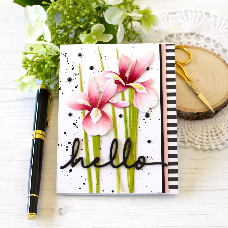 แม่พิมพ์ตัดโลหะรูปหมู 1 ชิ้น ส - Stencil Cutting Plotter บทวิจารณ์และราคา
