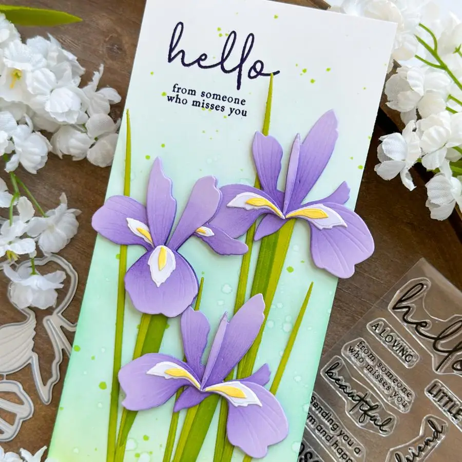 แม่พิมพ์ตัดโลหะรูปหมู 1 ชิ้น ส - Stencil Cutting Plotter บทวิจารณ์และราคา