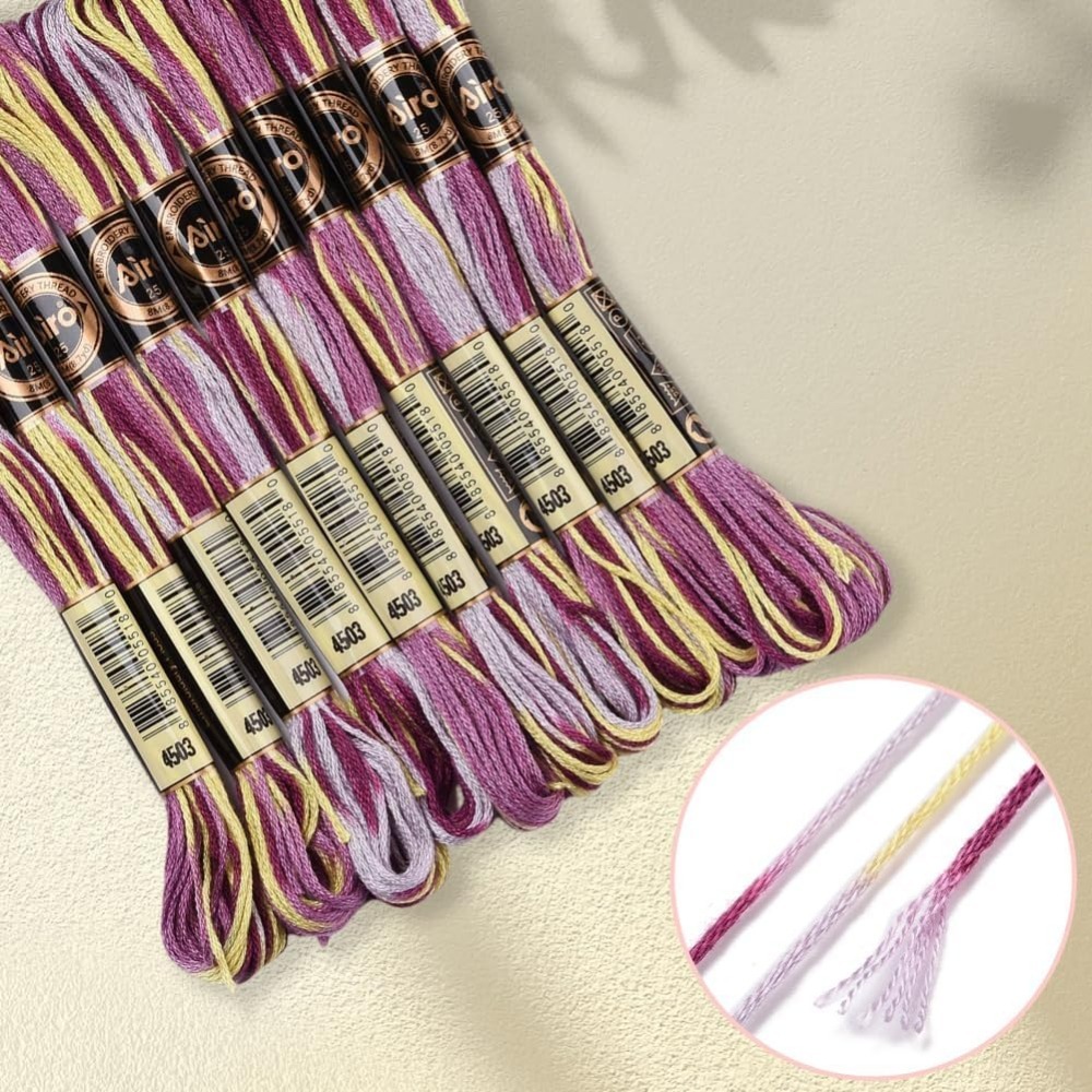 6 Strands สีม่วง Variegated เย - Artwork Craft บทวิจารณ์และราคา