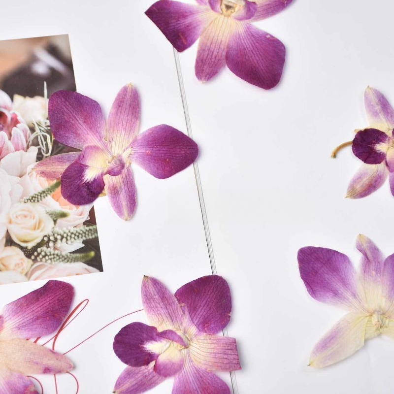 4 ชิ้น, ดอกกล้วยไม้ผีเสื้อแท้แ - Art Craft Butterfly บทวิจารณ์และราคา